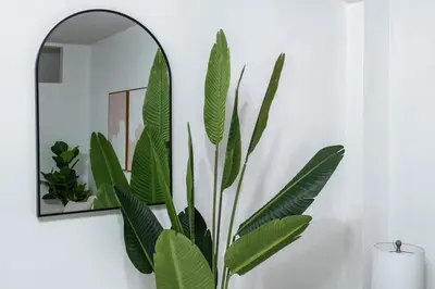 a mirror with a large green plant next to it at 74-1A New Studio in Prime UWS - GYM In Building in New York
