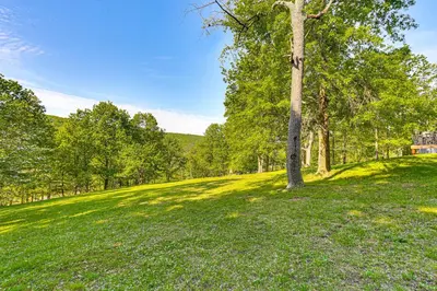 a tree in the middle of a grassy field at Pickleball Court and Fire Pit Milton Cabin! in Milton