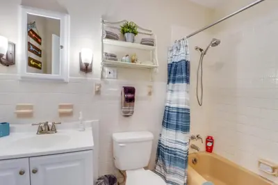 a bathroom with a toilet and a sink and a shower at Swim Dock and Game Room Lakefront Poconos Cabin! in Long Pond
