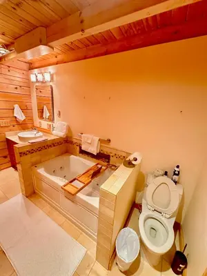 a bathroom with a toilet and a bath tub at Big Bear Cabin in Corning