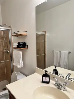 a bathroom with a sink and a shower and a mirror at Luxury Condo Near NYC, MetLife & American Dream in Passaic