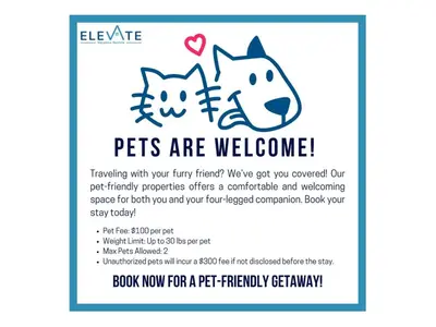 a poster of two cats and a dog with the words pets are welcome at Elevate Apartment at Times Square - Cozy Studio in Times Square and Nearby Restaurants in New York