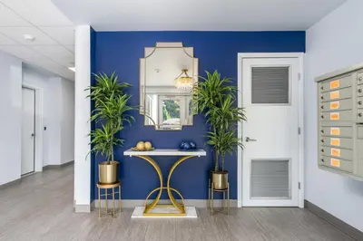 a hallway with blue walls and a table with plants at Grand Monarch! Best for Extended Stays! in Johnson City