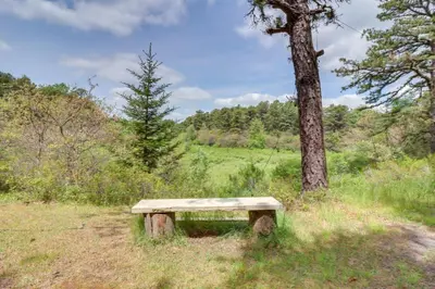 a bench sitting in the grass next to a tree at Fire Pit, Kayaks and Hammocks Long Pond Home! in Long Pond