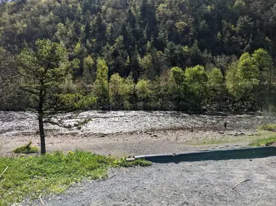a tree in the middle of a river with trees at Chalet Retreat w/ Hot Tub, Short Walk to Lake & Pool in Jim Thorpe