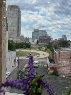 a view of a city from a window with purple flowers at 502 Luxury 1BR apartment in center city in Philadelphia