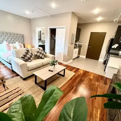 502 Luxury 1BR apartment in center city