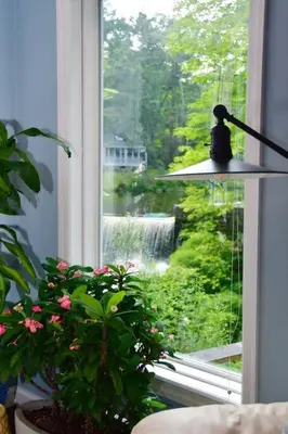 a window with a potted plant in front of it at Luxury Cottage at Millpond Falls in Warwick