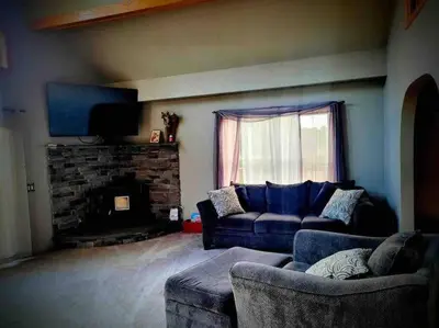 a living room with a couch and a fireplace at Upstate getaway. Leave your troubles behind. in Unadilla