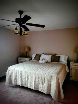a bedroom with a bed with a ceiling fan at Upstate getaway. Leave your troubles behind. in Unadilla