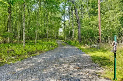 a dirt road in the middle of a forest at Secluded Poconos Cabin 75 Acres and Fire Pit! in East Stroudsburg