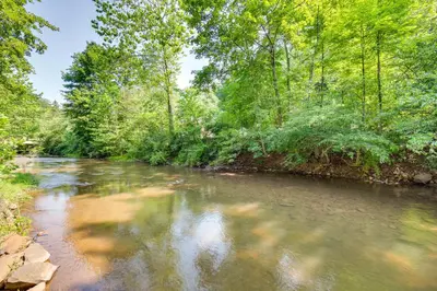 a river with trees on the side of it at Quaint Elysburg Cottage Walk to Knoebels Resort! in Paxinos