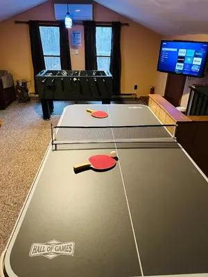 a room with a ping pong table with two balls on it at Pocono Chalet - Hot Tub - Game Room in Albrightsville