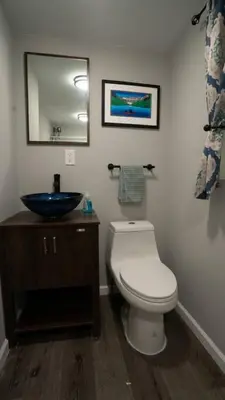 a bathroom with a white toilet and a sink at Wally's Compound in Hawley