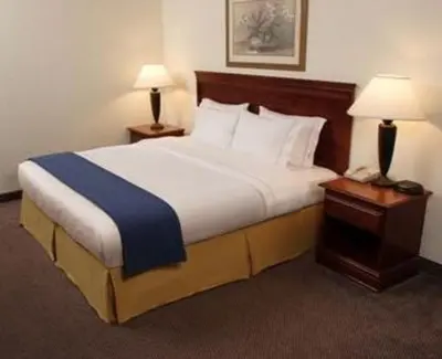 a large bed in a hotel room with two lamps at Holiday Inn Express and Suites Montgomery by IHG in Montgomery