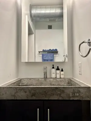 a bathroom with a sink and a mirror at The Fishtown Blue Jay - Garage Parking Included! in Philadelphia