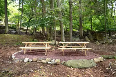 two picnic tables in a park with trees at 3 Acre Lake Paradise Swimming Pool & Jacuzzi HotTub! in Hopatcong