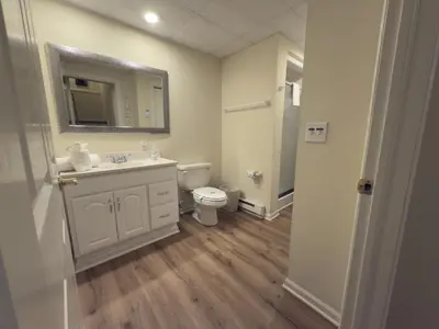 a bathroom with a sink and a toilet and a mirror at Maple Manor in Tannersville