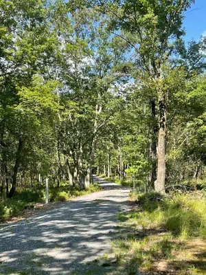 a road with trees on either side at Evergreen Escape - Jim Thorpe Multi Ski Resort in Albrightsville