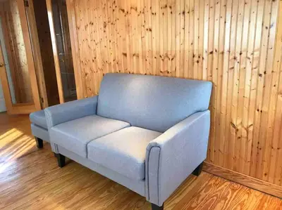 a blue couch in a room with a wooden wall at Tranquil Getaway in the Pocono Mountains in Thornhurst