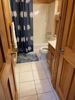 a bathroom with a toilet and a blue shower curtain at Tranquil Getaway in the Pocono Mountains in Thornhurst
