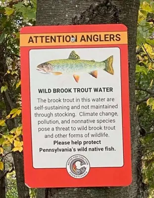 a sign on a tree with a fish on it at Historic Sears River Home (Main Level) on 10 Acres in Tamaqua