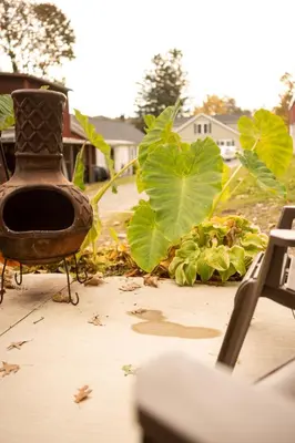 a bird house sitting on a porch with plants at Historic Sears River Home (Main Level) on 10 Acres in Tamaqua