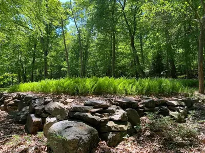 a garden with rocks and plants in the woods at Historic Sears River Home (Main Level) on 10 Acres in Tamaqua