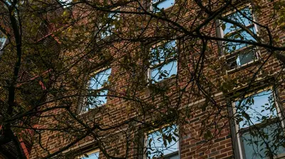 a brick building with a tree in front of it at Comfortable 2BR & 2 Bath Apt in Downtown NYC in New York