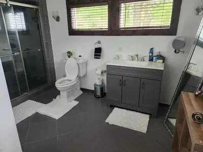 a bathroom with a toilet and a sink and a shower at little cozy house in a village in Mountain Dale