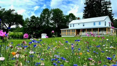 a field of flowers in front of a white house at French Woods Farmhouse Bed & Breakfast in Hancock