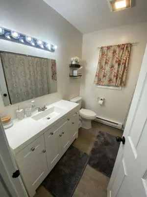 a bathroom with a white sink and a toilet at Home in Tobyhanna, Poconos Mountain, Pennsylvania in Tobyhanna
