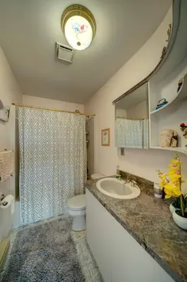 a bathroom with a sink and a toilet and a mirror at Magical Waterfront with 4-Season fun in Ski Resort in Lackawaxen