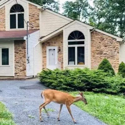 Serenity Falls - Stylish 4Bdr Mountain Retreat