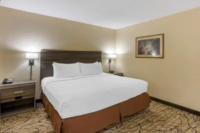 a large bed in a hotel room with two lamps at Best Western Danville Inn in Danville