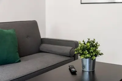 a living room with a couch and a table with a plant at Center City Philadelphia 1BR Apartment Sleeps 4, Walk to Attractions in Philadelphia