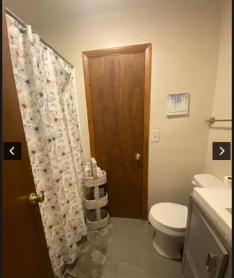 a bathroom with a toilet and a shower curtain at Rosie’s Cabin in Thornhurst