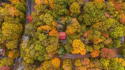 an overhead view of a forest filled with colorful trees at Hot Tub Fire Pit Dog Friendly in Pocono Lake