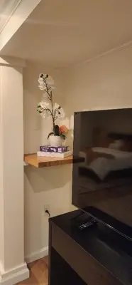 a television with a flower in a vase on a shelf at Starlight Guesthouse in West Orange