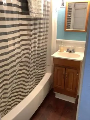 a bathroom with a sink and a shower curtain at Cheerful Studio short walk to UHS near Lourdes & BU in Johnson City