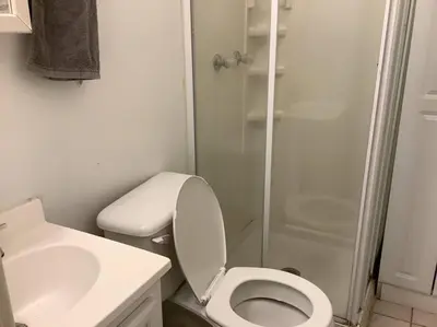 a white bathroom with a toilet and a shower at Spacious Inviting Home by BU UHS & Guthrie in Johnson City