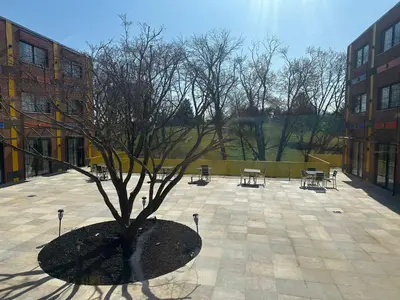 a tree in a courtyard with tables and chairs at THE GOLFERS INN in Upper Darby