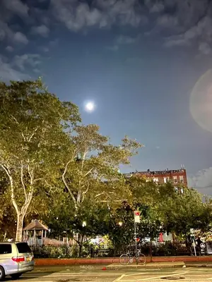 a car parked in a parking lot next to trees at moon lotus abode(\u6708\u84ee\u5c45) in New York