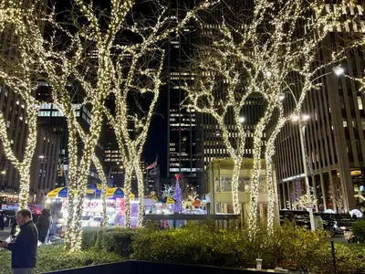 a city lit up at night with christmas lights at moon lotus abode(\u6708\u84ee\u5c45) in New York