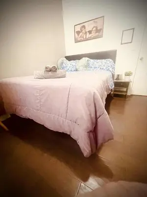 a bedroom with a bed with a pink blanket at Bright, Cozy Room Near Center City Philadelphia and Museums in Philadelphia