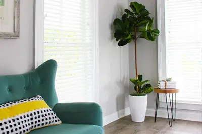 a living room with a green couch and a plant at The National Hotel in Frenchtown
