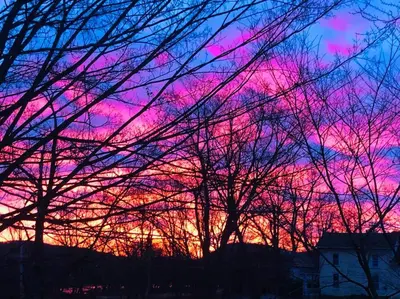 a sunset with trees in front of a pink at Church Bells in Wyalusing