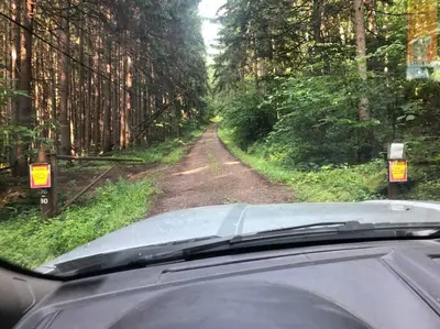 a car driving down a dirt road with trees at Triple Brick on Main in Wyalusing