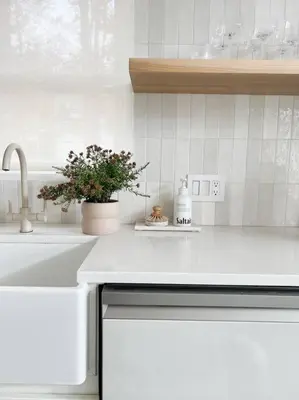 a kitchen counter with a sink and a plant on it at Luxury Poconos Home Near Skiing, Lakes, & Waterparks in Tobyhanna