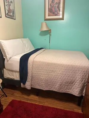 a bedroom with a bed and a red rug at Genevieve’s comfort pad in Jersey City
